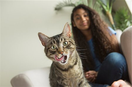 simsearch:6118-08725493,k - A girl sitting on a sofa with a pet cat. Stock Photo - Premium Royalty-Free, Code: 6118-08883048