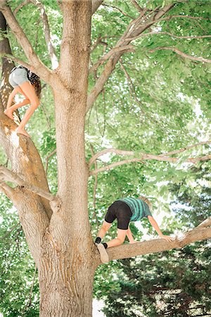 simsearch:6118-08827464,k - Two children, brother and sister climbing a tree. Stockbilder - Premium RF Lizenzfrei, Bildnummer: 6118-08827469