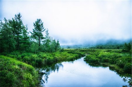 simsearch:6118-09112089,k - A waterway in the Acadia National Park in Maine. Low cloud and mist. Photographie de stock - Premium Libres de Droits, Code: 6118-08827492