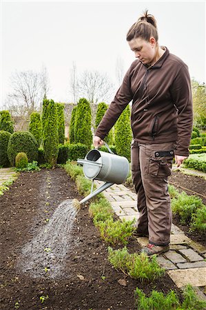 simsearch:6118-08947538,k - Woman watering a row of newly planted seedlings in the soil in a garden. Stock Photo - Premium Royalty-Free, Code: 6118-08947569
