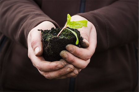 simsearch:6118-08947538,k - Close up of human hands holding a seedling with one leaf ready for planting. Stock Photo - Premium Royalty-Free, Code: 6118-08947572