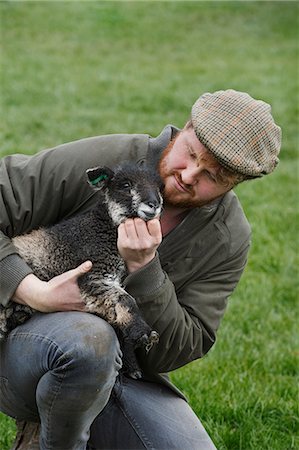 A farmer holding a young lamb in his arms checking on the animal. Photographie de stock - Premium Libres de Droits, Code: 6118-08947741