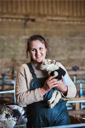 Woman standing in a barn, holding a newborn lamb dressed in a knitted jumper. Stockbilder - Premium RF Lizenzfrei, Bildnummer: 6118-08947734