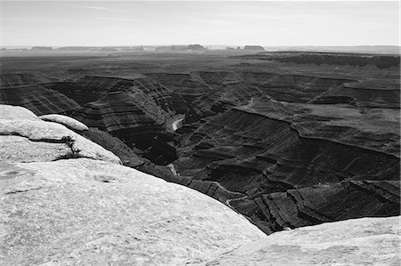 simsearch:6118-08860602,k - Muley Point is in the heart of Bears Ears National Monument, a vast 1.3 million acre area of unspoiled Utah wilderness Photographie de stock - Premium Libres de Droits, Code: 6118-08947877