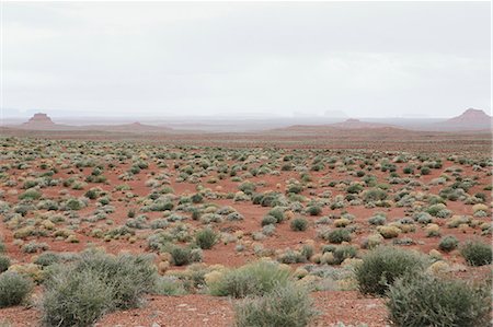 Mesa and vast desert in Valley of the Gods, Utah Foto de stock - Sin royalties Premium, Código: 6118-08947894