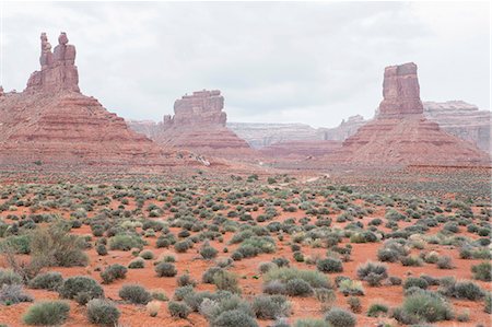 Valley of the Gods in the heart of Bears Ears National Monument Stock Photo - Premium Royalty-Free, Code: 6118-08947895