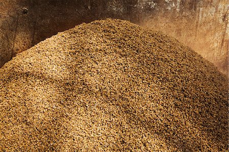 Close up of a heap of spent grain used in the brewing process. Stock Photo - Premium Royalty-Free, Code: 6118-08971385