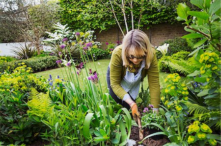simsearch:6118-08947814,k - Woman standing in  a garden, holding a gardening trowel, digging in between flowers in a flowerbed. Stock Photo - Premium Royalty-Free, Code: 6118-08971399