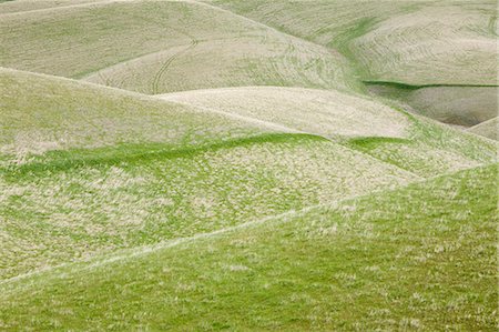 simsearch:6118-08827547,k - Rolling green hills in Central Oregon in spring time, view from a height. Fotografie stock - Premium Royalty-Free, Codice: 6118-08971334