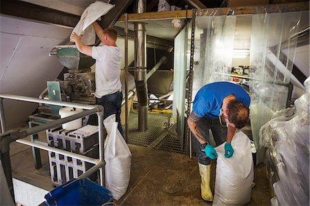 Two men working in a brewery, holding white plastic sacks. Stock Photo - Premium Royalty-Free, Code: 6118-08971339