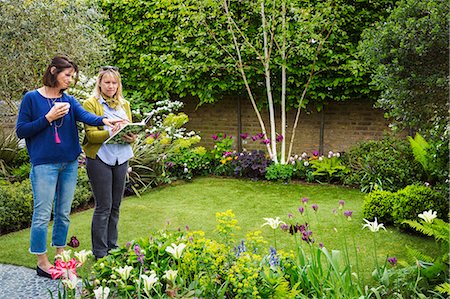 simsearch:6118-08729266,k - Two women standing in a garden on a lawn surrounded by flowerbeds, discussing garden design. Stockbilder - Premium RF Lizenzfrei, Bildnummer: 6118-08971411