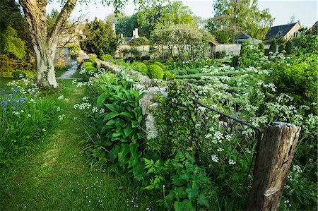 simsearch:6118-08725637,k - View of garden with fence, flower beds, shrubs and trees, buildings in the background. Stock Photo - Premium Royalty-Free, Code: 6118-08971534