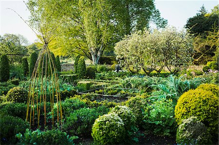 View of garden with flower beds, shrubs and trees in the background. Photographie de stock - Premium Libres de Droits, Code: 6118-08971536