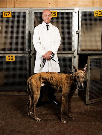 domador (hombre) - Dog handler standing in front of a cages in a greyhound track kennel, holding a brindle dog on a lead. Foto de stock - Sin royalties Premium, Código: 6118-08928217