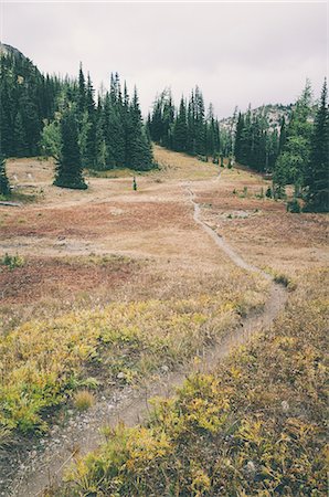 simsearch:6118-08081898,k - Hiking trail in the North Cascades, Pacific Crest Trail through pristine alpine wilderness, autumn, near Granite Pass, Pasayten Wilderness, Okanogan National Forest, Washington. Photographie de stock - Premium Libres de Droits, Code: 6118-09059500