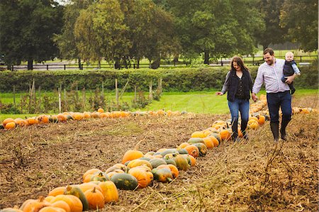 simsearch:400-07916492,k - A family, two adults and a young baby among rows of bright yellow, green and orange pumpkins harvested and left out to dry off in the fields in autumn. Stock Photo - Premium Royalty-Free, Code: 6118-09059684