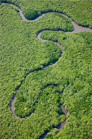 rain forest - Aerial view of river running through tropical rain forest. Photographie de stock - Premium Libres de Droits, Code: 6118-09076660