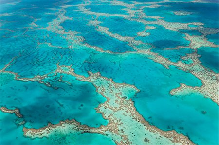 península - Aerial view of turquoise reef in the Pacific Ocean. Foto de stock - Sin royalties Premium, Código: 6118-09076664