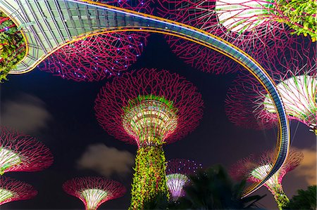 Low angle view of illuminated Supertree Grove at Gardens by the Bay, Singapore at night. Stock Photo - Premium Royalty-Free, Code: 6118-09076692