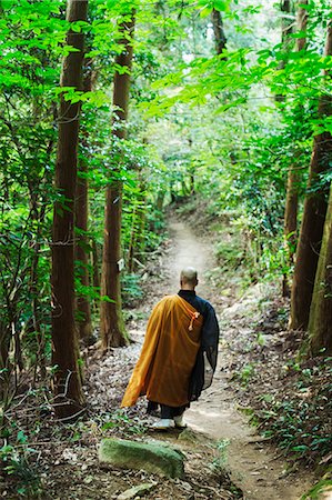 Rear view of Buddhist monk with shaved head wearing black and yellow robe walking down a forest path. Stock Photo - Premium Royalty-Free, Code: 6118-09079381