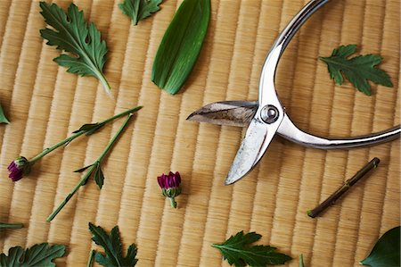 photographs japan temple flowers - Close up high angle view of metal scissors and purple flower cut into pieces. Stock Photo - Premium Royalty-Free, Code: 6118-09079412