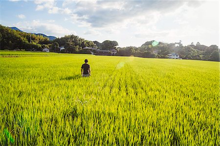 rural asia - A rice farmer standing in a field of green crops, a rice paddy with lush green shoots. Stock Photo - Premium Royalty-Free, Code: 6118-09079770