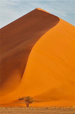 simsearch:6118-09018146,k - Sand dune with tree at its base. Stockbilder - Premium RF Lizenzfrei, Bildnummer: 6118-09018174