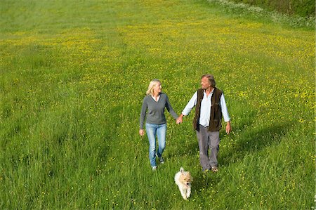 dog with people - High angle view of man and woman walking hand in hand across a meadow, small dog running beside them. Foto de stock - Sin royalties Premium, Código: 6118-09018367