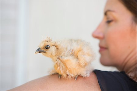 simsearch:6118-09018328,k - A woman with a small fluffy chick bird perched on her shoulder. Photographie de stock - Premium Libres de Droits, Code: 6118-09018332