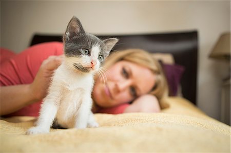 A woman lying on a bed stroking a small grey and white kitten Stock Photo - Premium Royalty-Free, Code: 6118-09018671