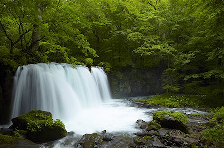 river bank japan - Long exposure of rocky waterfall surrounded by trees with lush green foliage. Foto de stock - Sin royalties Premium, Código: 6118-09028058