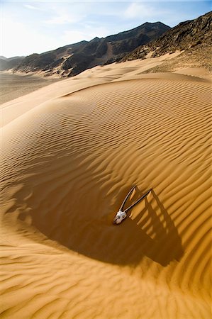 simsearch:693-06667803,k - Close up of an antelope skull lying in the desert, mountain range in the distance. Stock Photo - Premium Royalty-Free, Code: 6118-09144882