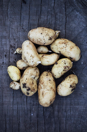 simsearch:6118-08947561,k - Close up of freshly harvested potatoes on dark blue background. Foto de stock - Royalty Free Premium, Número: 6118-09183284