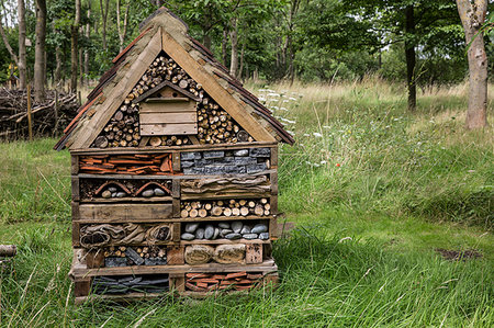 Large bug house with several layers of different materials in a garden. Photographie de stock - Premium Libres de Droits, Code: 6118-09183387