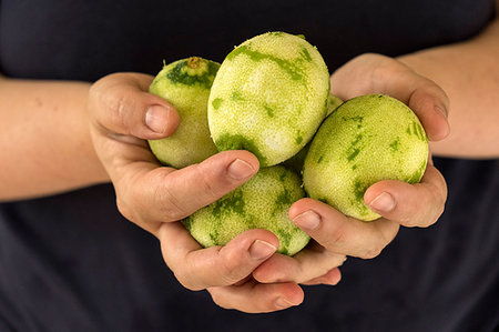 point of view dessert - Close up of person holding limes with grated zest. Stock Photo - Premium Royalty-Free, Code: 6118-09183329