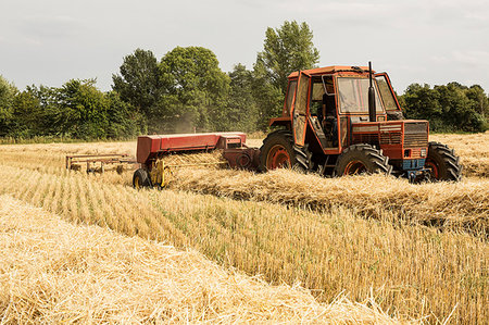 simsearch:649-06353290,k - Tractor and straw baler in wheat field, farmer baling straw. Fotografie stock - Premium Royalty-Free, Codice: 6118-09183462