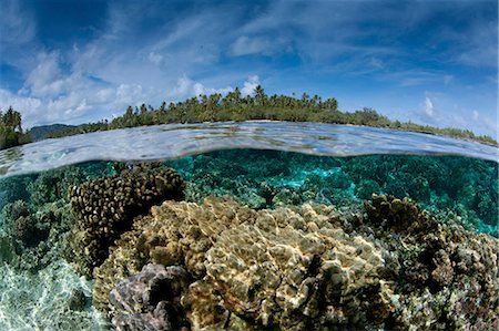 simsearch:6118-09112146,k - Over/under of the seabed between two small islands near Taha'a,  in French Polynesia. Fast flowing water nourishes the coral. Photographie de stock - Premium Libres de Droits, Code: 6118-09112150