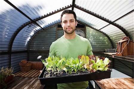 Hispanic man with new plants for the greenhouse. Stockbilder - Premium RF Lizenzfrei, Bildnummer: 6118-09129930