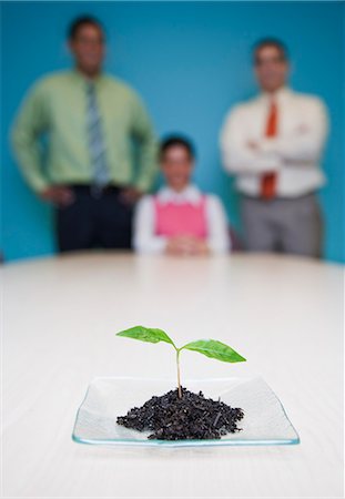 simsearch:6118-09139994,k - Team of three business people standing at a table looking at a single plant seedling, a business metaphor. Stockbilder - Premium RF Lizenzfrei, Bildnummer: 6118-09139594