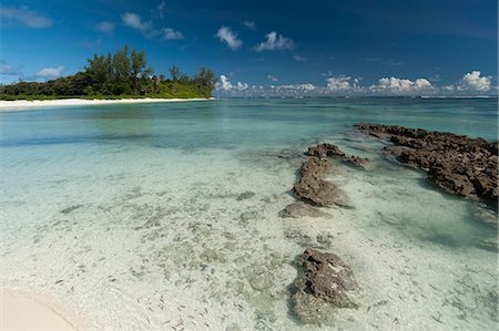 Denis Island, Seychelles, Indian Ocean, Africa Stock Photo - Premium Royalty-Free, Code: 6119-07443741