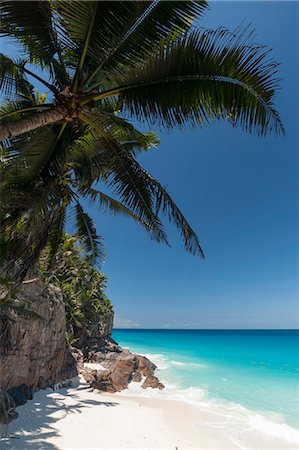 simsearch:6119-07451458,k - Anse Macquereau, Fregate Island, Seychelles, Indian Ocean, Africa Foto de stock - Sin royalties Premium, Código: 6119-07443753