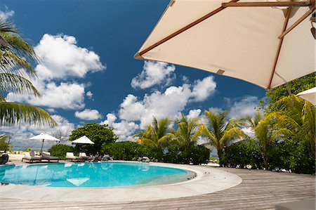 swimming pool trees nobody - Denis Island Resort, Denis Island, Seychelles, Indian Ocean, Africa Stock Photo - Premium Royalty-Free, Code: 6119-07443735