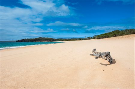 Papohaku Beach, island of Molokai, Hawaii, United States of America, Pacific Foto de stock - Sin royalties Premium, Código: 6119-07443883