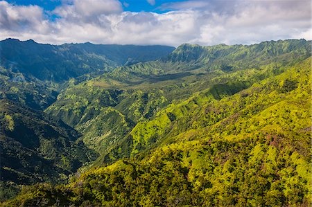 simsearch:6119-07443885,k - Aerial of the rugged interior of the island of Kauai, Hawaii, United States of America, Pacific Stock Photo - Premium Royalty-Free, Code: 6119-07443806