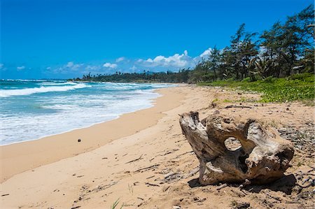 Sandy beach on Kapaa Beach Park on the island of Kauai, Hawaii, United States of America, Pacific Fotografie stock - Premium Royalty-Free, Codice: 6119-07443813