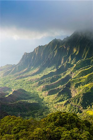 simsearch:6119-07443819,k - Kalalau lookout over the Napali coast from the Kokee State Park, Kauai, Hawaii, United States of America, Pacific Foto de stock - Sin royalties Premium, Código: 6119-07443823