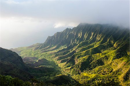simsearch:6119-07443800,k - Kalalau lookout over the Napali coast from the Kokee State Park, Kauai, Hawaii, United States of America, Pacific Foto de stock - Sin royalties Premium, Código: 6119-07443824