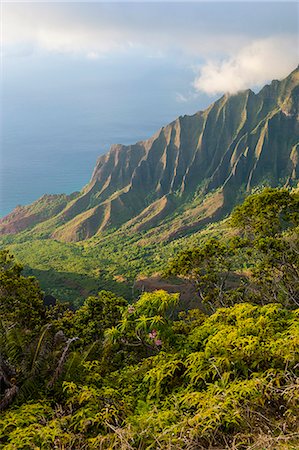 simsearch:6119-07443843,k - Kalalau lookout over the Napali coast from the Kokee State Park, Kauai, Hawaii, United States of America, Pacific Foto de stock - Sin royalties Premium, Código: 6119-07443825