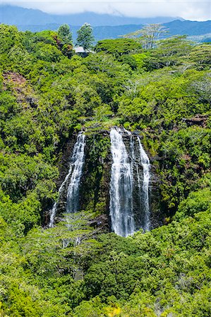 simsearch:6119-07443843,k - Opaekaa Falls, Kauai, Hawaii, United States of America, Pacific Foto de stock - Sin royalties Premium, Código: 6119-07443831