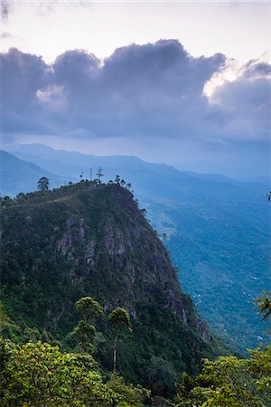 sri lanka - View over mountains from Haputale in the Sri Lanka Hill Country landscape at sunrise, Nuwara Eliya District, Sri Lanka, Asia Foto de stock - Royalty Free Premium, Número: 6119-07451170